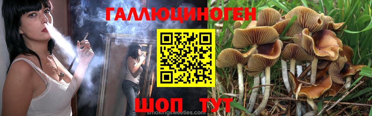 Галлюциногенные грибы GOLDEN TEACHER Абакан
